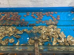 -桔子海鲜烧烤大排档(金沙滩店)
