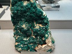 -湖南省地质博物馆