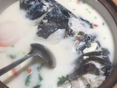 -全乐鱼馆·淳牌有机鱼直营店