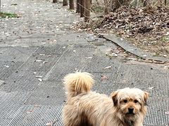 -黑河国家森林公园