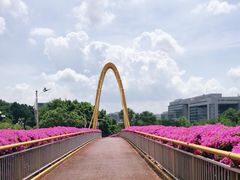 -玉树公园