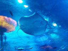 -沈阳海洋探索中心