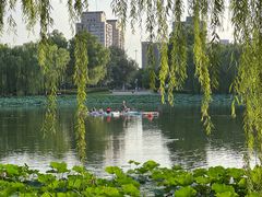 -WhaleSports户外水上运动俱乐部(朝阳公园店)