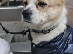 -永乐饭店