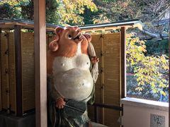 -月光园游月山庄