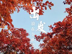 -北京西山国家森林公园