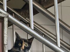 -老刘家泡馍·陕西老字号(钟楼广济街店)