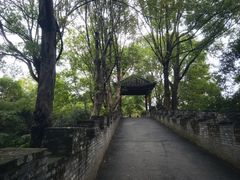 -朴园