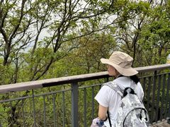 -紫金山山顶公园