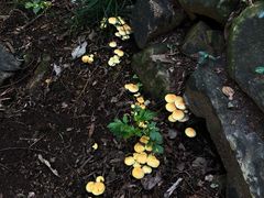 -青岛崂山太清宫