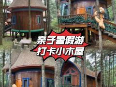 -洛阳白云山景区