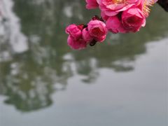 -望江楼公园