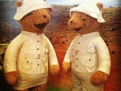 -济州岛泰迪熊博物馆