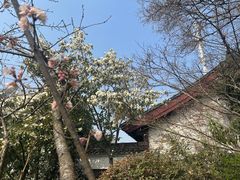 -幕燕滨江·燕子矶公园