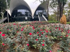 -人民公园(罗湖区)