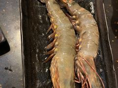 -熊出没日本烧肉放题