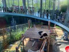 -大连森林动物园