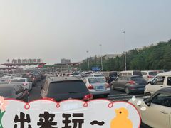 -胶州湾海底隧道
