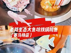 -老刘生态大鱼坊铁锅炖鱼(赛马场店)