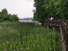 -东湖落雁景区