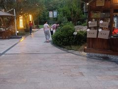 -夜不收荤豆花(大邑总店)