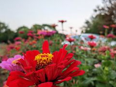 -钟山体育运动公园