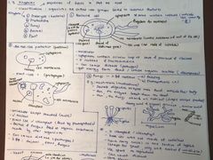 -JT PREP国际学科课程·IB·AP·Alevel(陆家嘴校区)