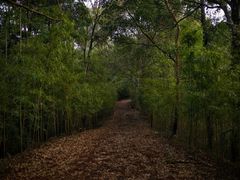 -韶关经律论国际酒店温泉