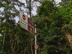 -火炉山森林公园