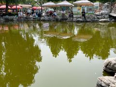 -朝阳公园游乐园