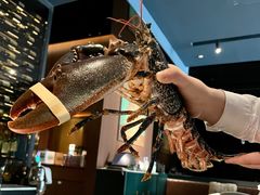 -Oyster Talks 四度蚝法餐厅