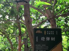 -北戴河集发农业梦想王国