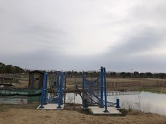 -上海都市菜园