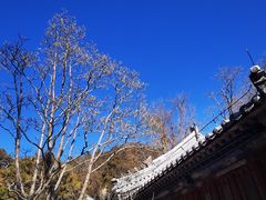 -潭柘寺景区