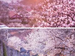 -崂山九水游览区