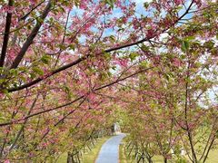 -福建鲤鱼洲酒店