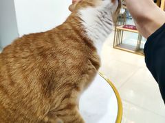 -Best U照相馆证件照·外拍(五角场店)