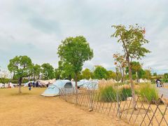 -上海长兴岛郊野公园