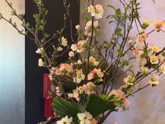 -蘇锦宴·淮扬菜烤鸭·小院(三元桥霄云路店)
