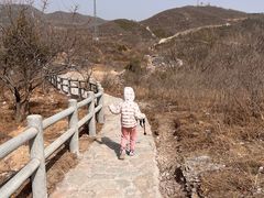 -鬼笑石后山停车场