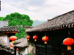 -后柳水乡