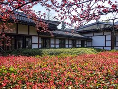 -合肥三国新城遗址公园