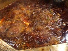 火锅-蜀九香火锅(彩虹店)