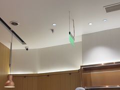 -老板恋上鱼(印象城店)