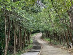 -梧桐山风景名胜区