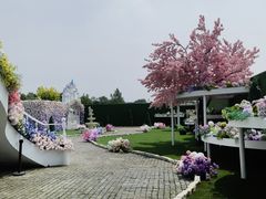 -莫子山公园