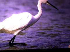 -奥斯卡西元国际影城(4K激光巨幕&杜比全景声沙发座椅)