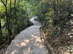 -火炉山森林公园