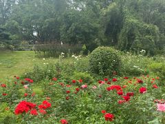 -东湖落雁景区
