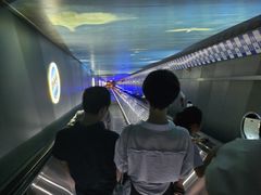 -白鹤梁水下博物馆